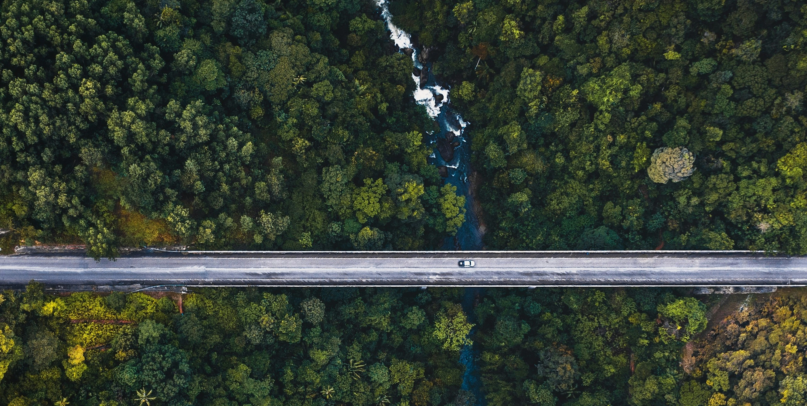 Amplitude auto - Listing concession